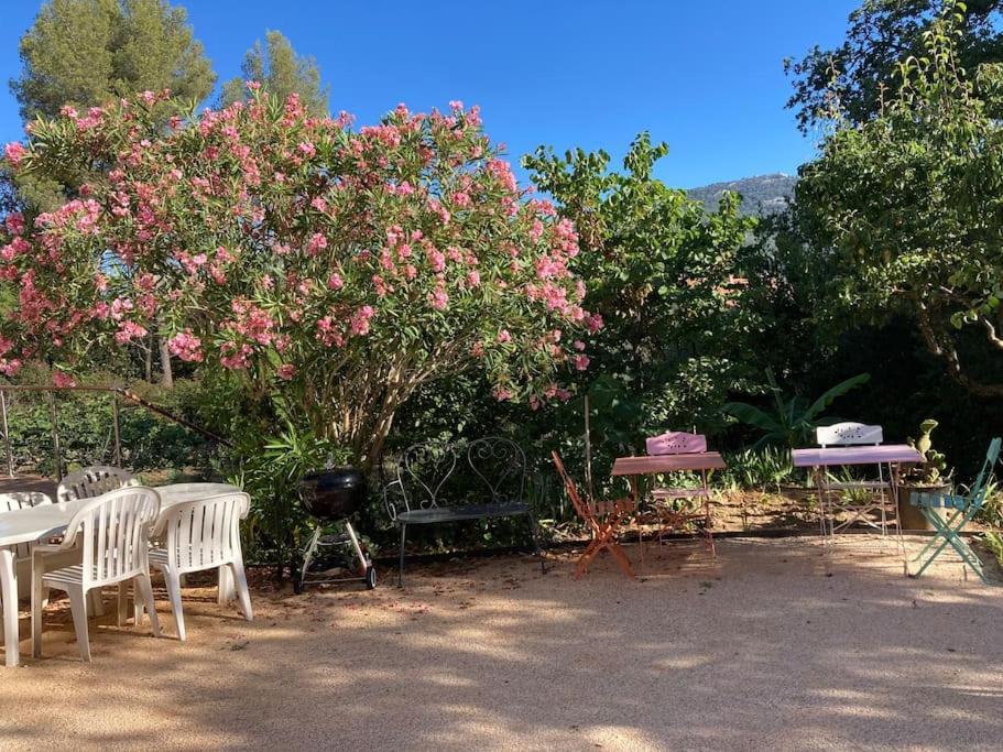 Haut De Villa Avec Terrasse Privative Jardin Et Parking Tout Pres Des Plages Τουλόν Εξωτερικό φωτογραφία